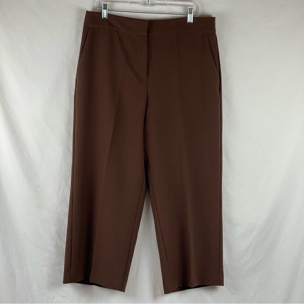 Ann Taylor Brown Straight Leg Dress Pants NWOT Size 14 - Picture 2 of 12